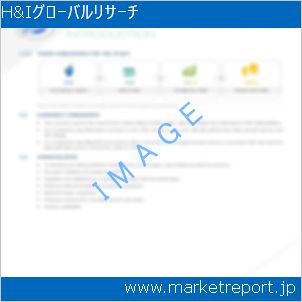 市場と産業調査レポートのイメージ